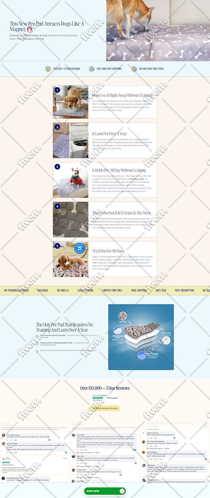 be your shopify developer and expert in SEO , coding and bug fix