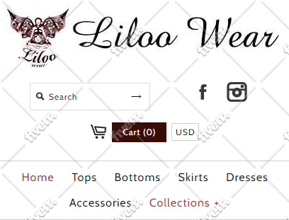 develop, customize or edit your shopify store
