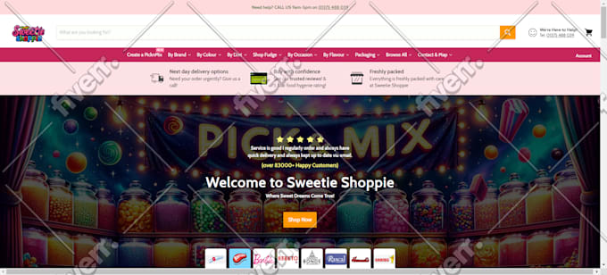 fix shopify bugs, errors, or theme issues in 24 hours