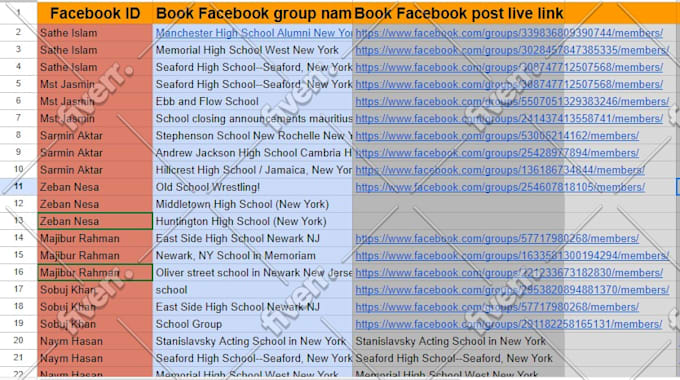 increase your facebook page followers and engagements more success in the USA