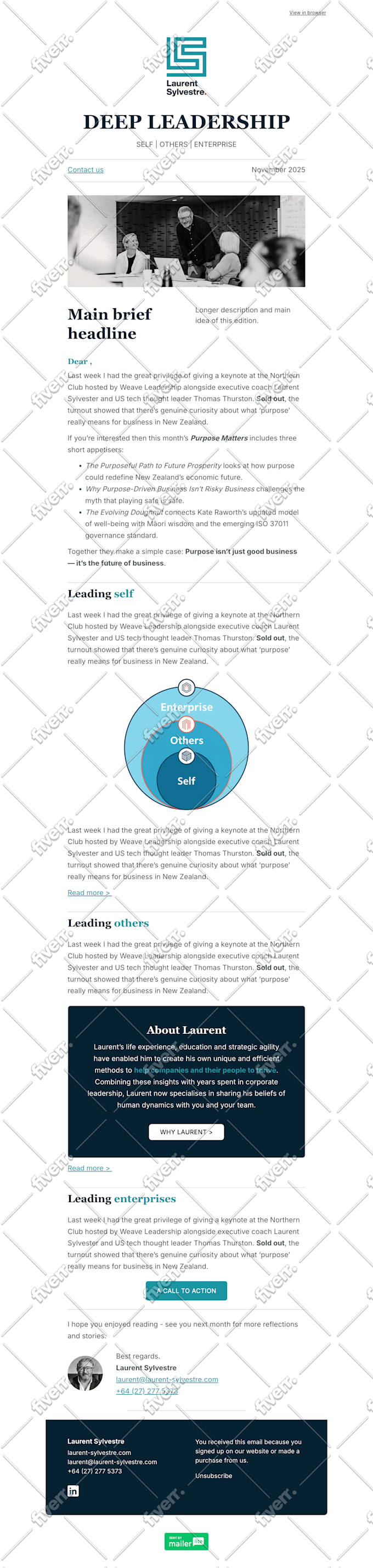 rock your mailerlite email marketing