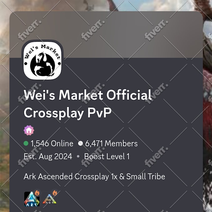 professional discord server member growth