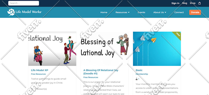 do professional wordpress, wix, joomla, or other website