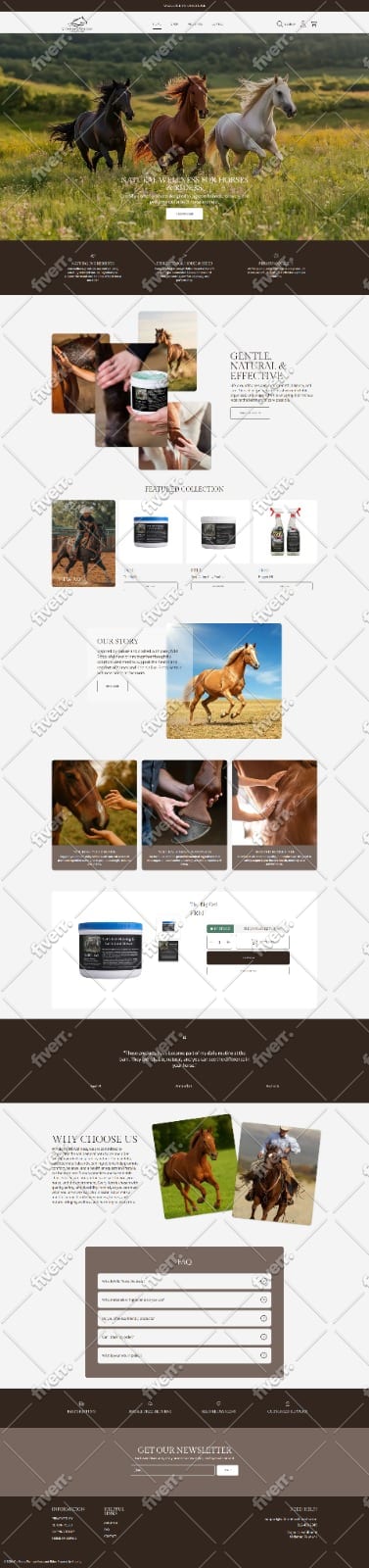 design redesign shopify store shopify dropshipping store shopify website