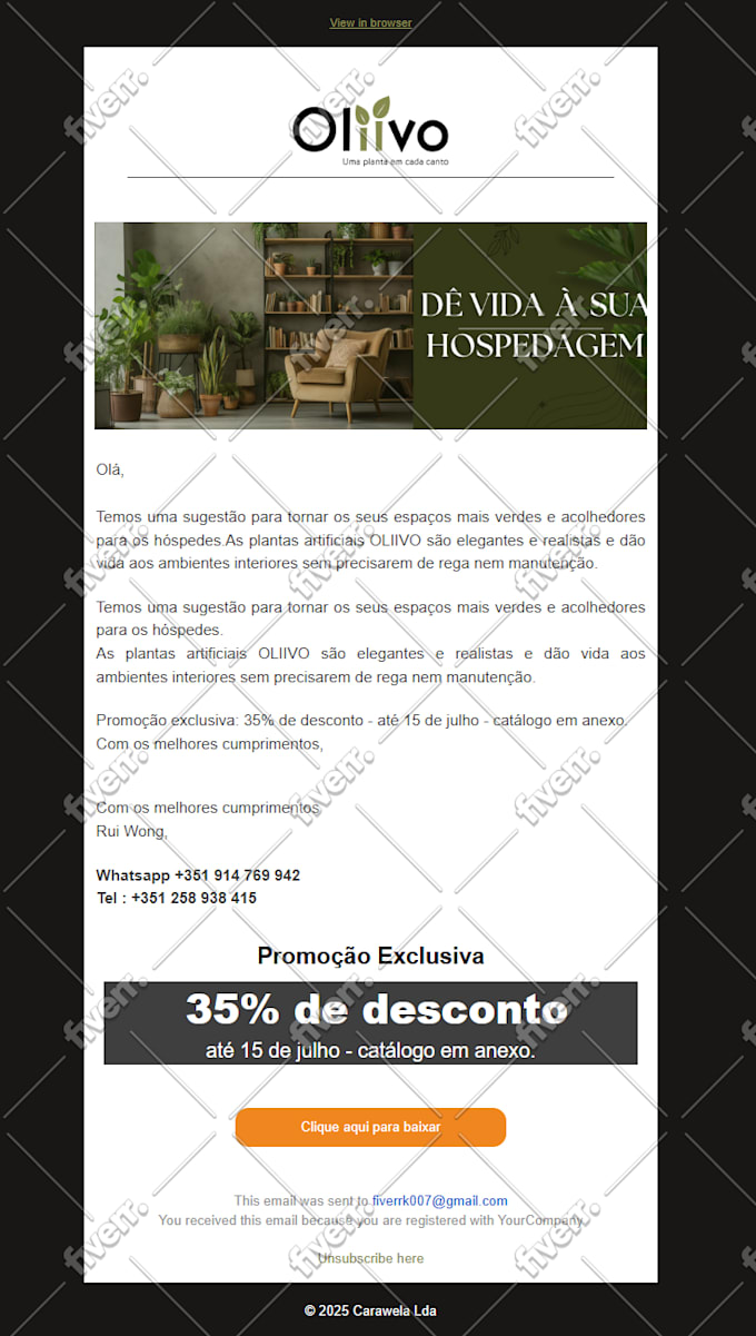 do mailchimp campaign,newsletter,email template, automatiion