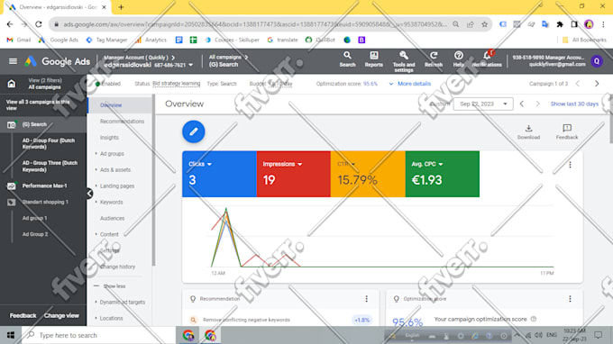 setup manage and optimize google ads PPC campaigns