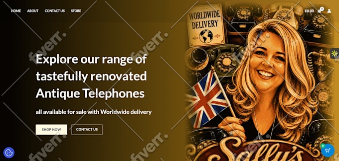 develop wordpress ecommerce store, website, online shop