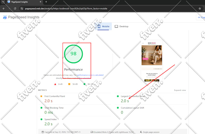 speed up shopify, wordpress speed and fix core web vitals cls, lcp,inp issues
