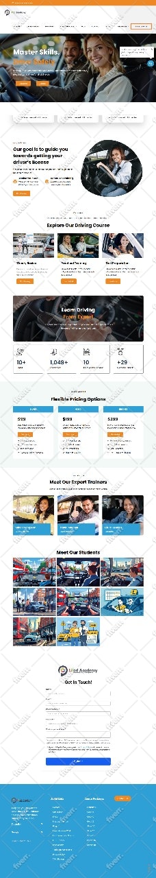 custom wordpress elementor business website development, website designer,