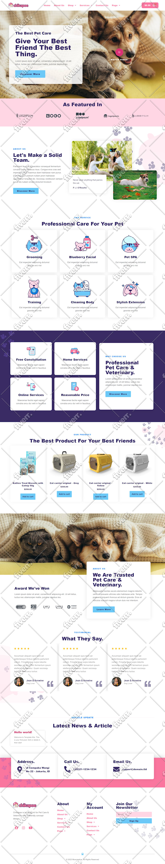 build squarespace website design and redesign squarespace website development