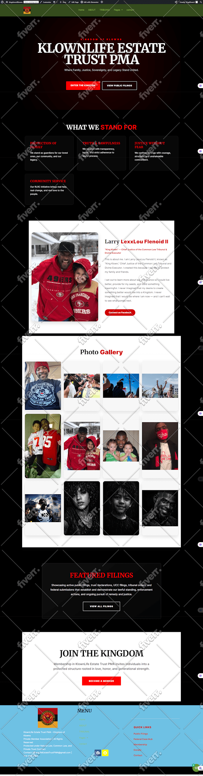 design a professional and responsive modern wordpress website