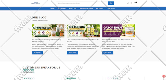build shopify website, design or redesign shopify store, dropshipping store