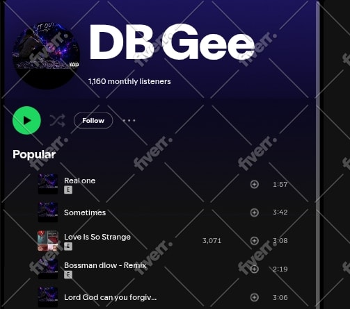do spotify music promotion and increase your spotify audience