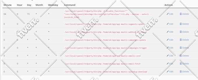 setup and install mautic marketing automation for you