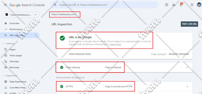 do advance shopify seo for 1st page ranking on google
