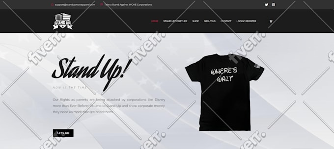 build a professional woocommerce store with SEO and speed optimization