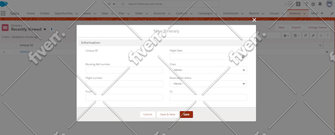 be your salesforce developer and consultant for your project