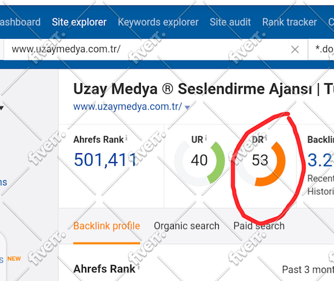 build high quality backlinks to increase domain rating DR 75
