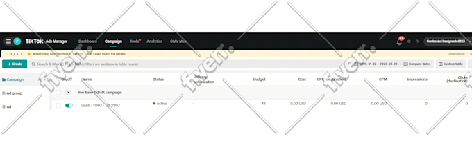 setup tik tok ads campaign, tik tok ads manager, manage tik tok ads video,tiktok