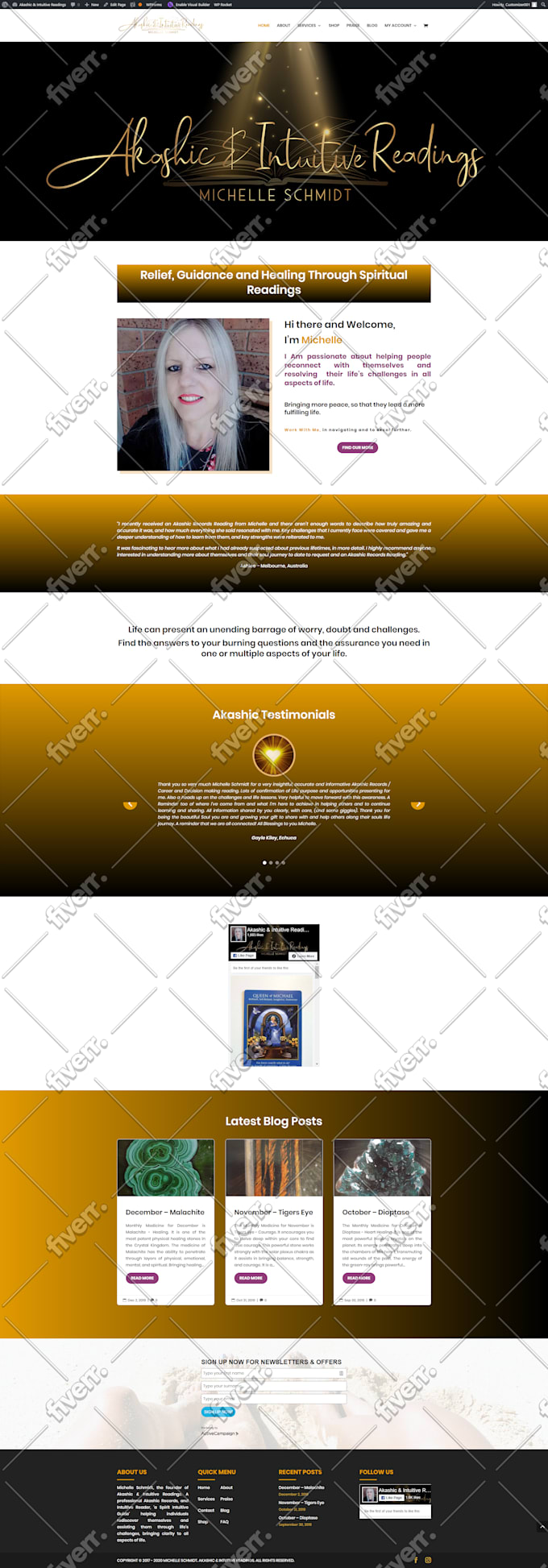quick fix wordpress divi elementor issues expert