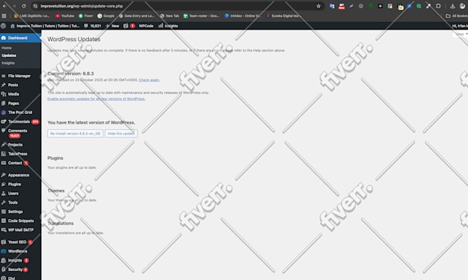 provide monthly wordpress maintenance, support and bug fixes