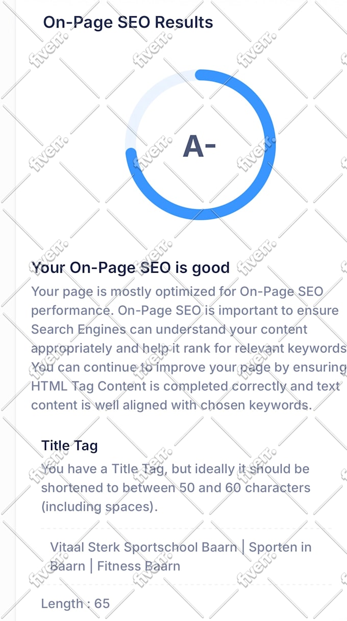 seo optimize and boost up your website for ranking