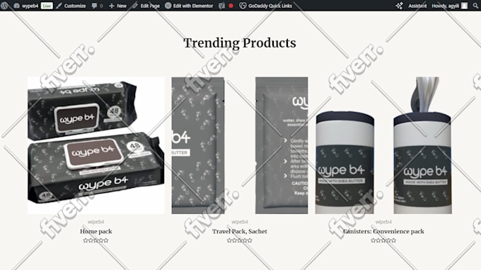 design a professional ecommerce website on wordpress