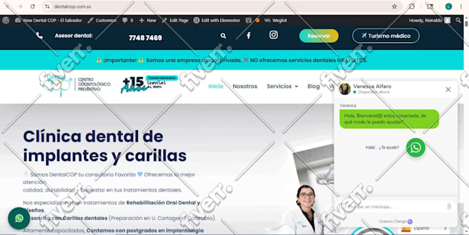 build, design, redesing, develop, or customize your wordpress website divi theme