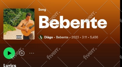 do professional spotify music promotion