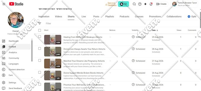 professionally upload videos to youtube, tiktok and  any social media