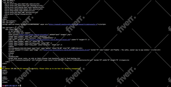 provide technical support remotely