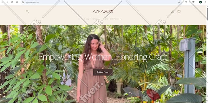build ecommerce website online store woocommerce and shopify