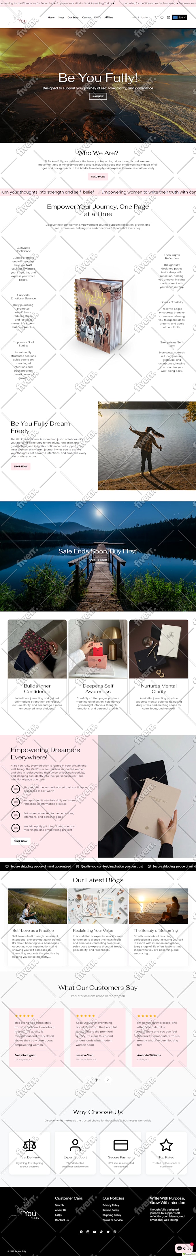 design and setup a professional shopify dropshipping store or website