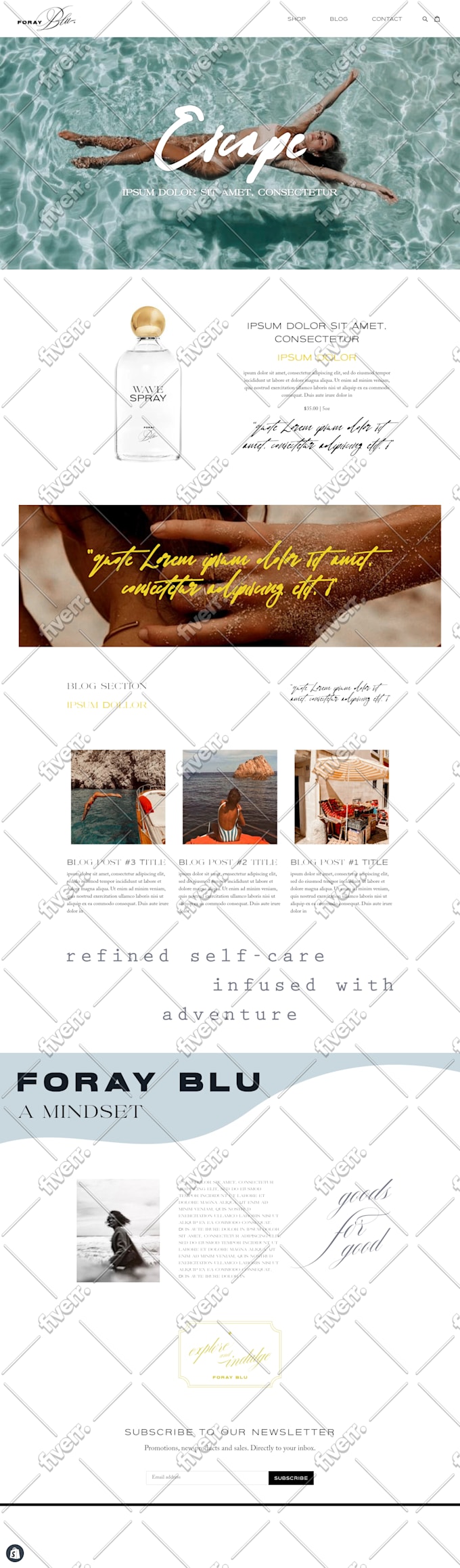 create professional shopify website