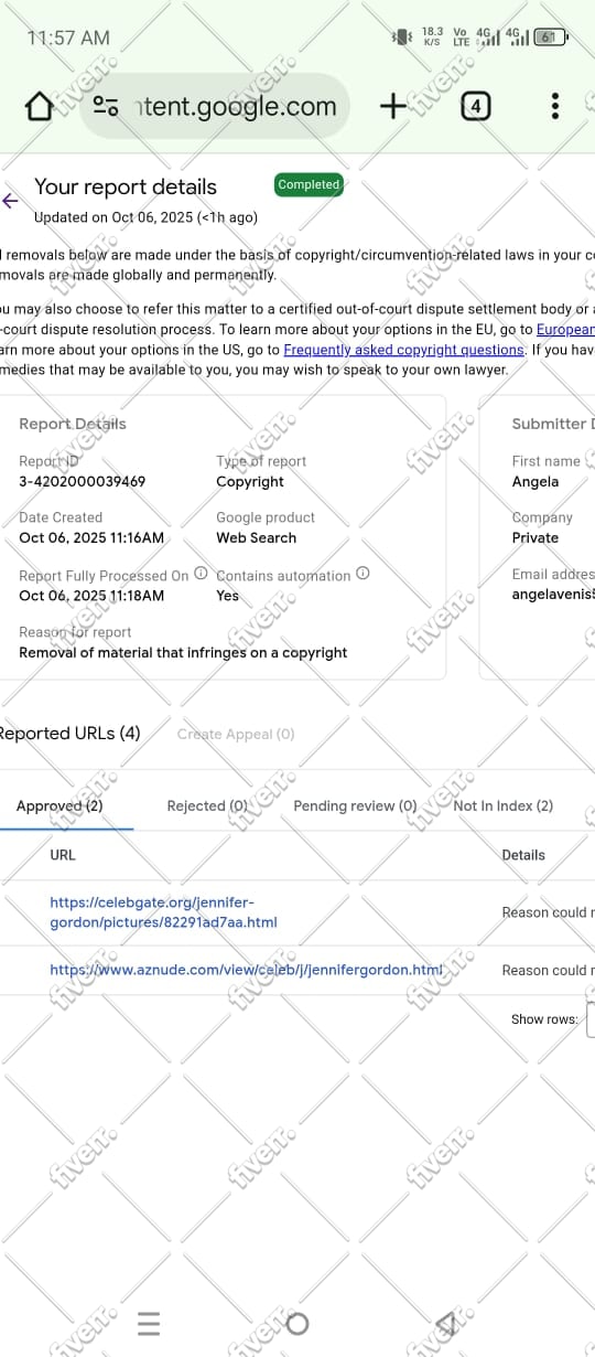 permanently remove mugshots cases articles news delete negative links on google