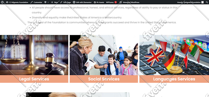 design and develop advanced wordpress website by elementor pro