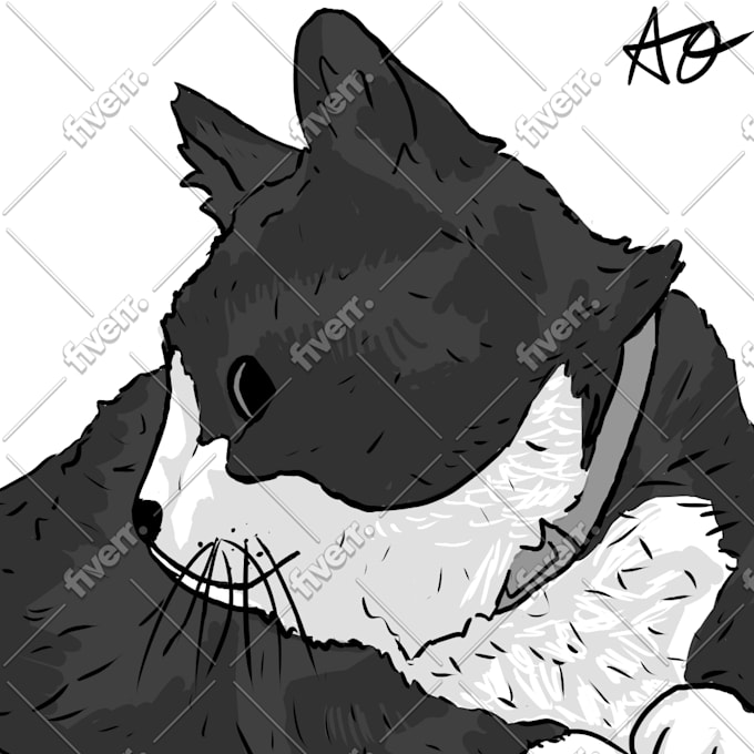 draw your characters and pets