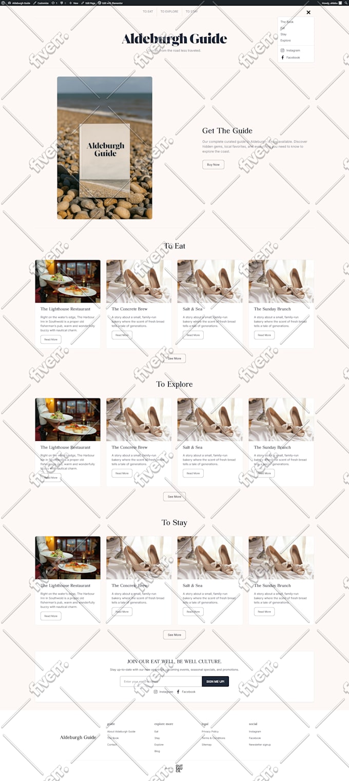 design a professional wordpress website