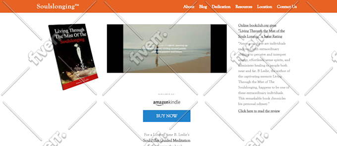 design and build a custom wordpress website with elementor