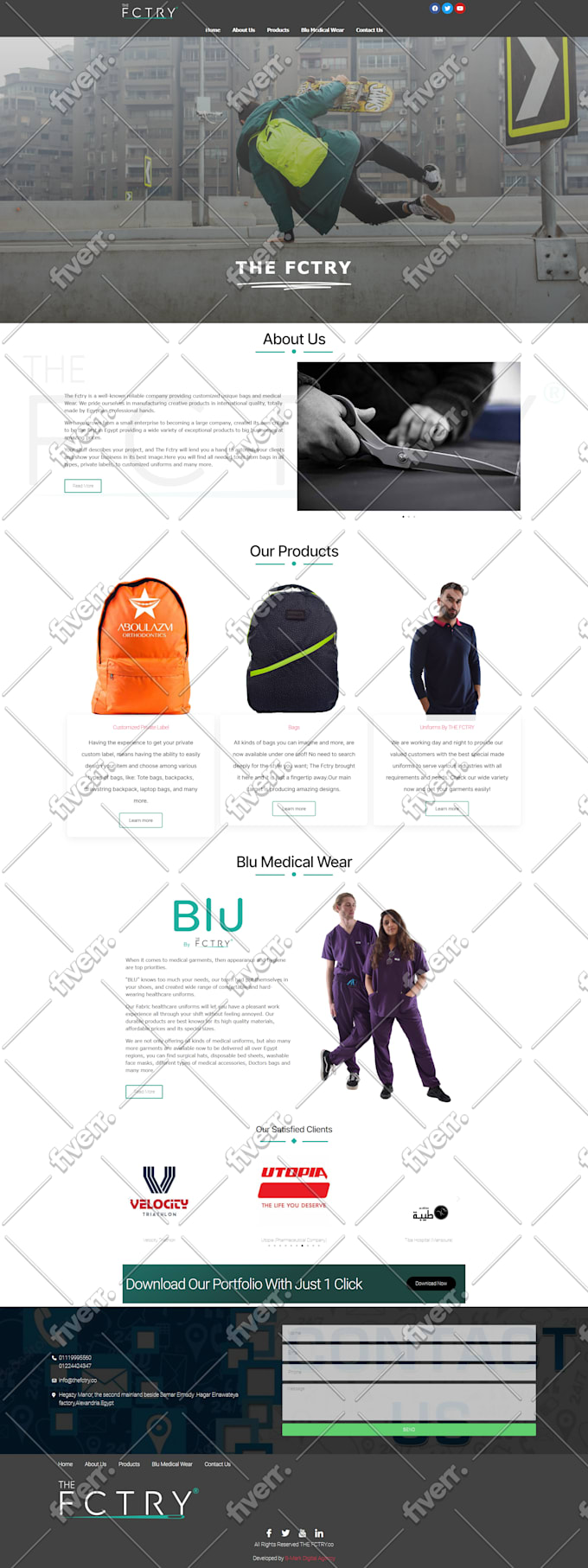 create a professional wordpress website