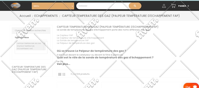 develop, install and customize prestashop site