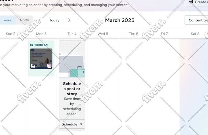 be your social media marketing manager and content creator