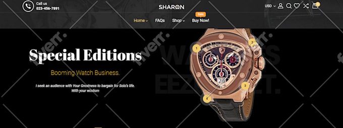 build or customize a high converting shopify store