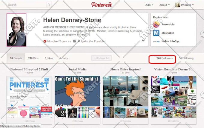 provide 150+ real and active pinterest followers within 24 hours