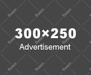 create professional wix website design