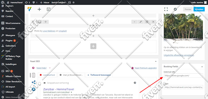 build wordpress website or do wordpress speed optimization