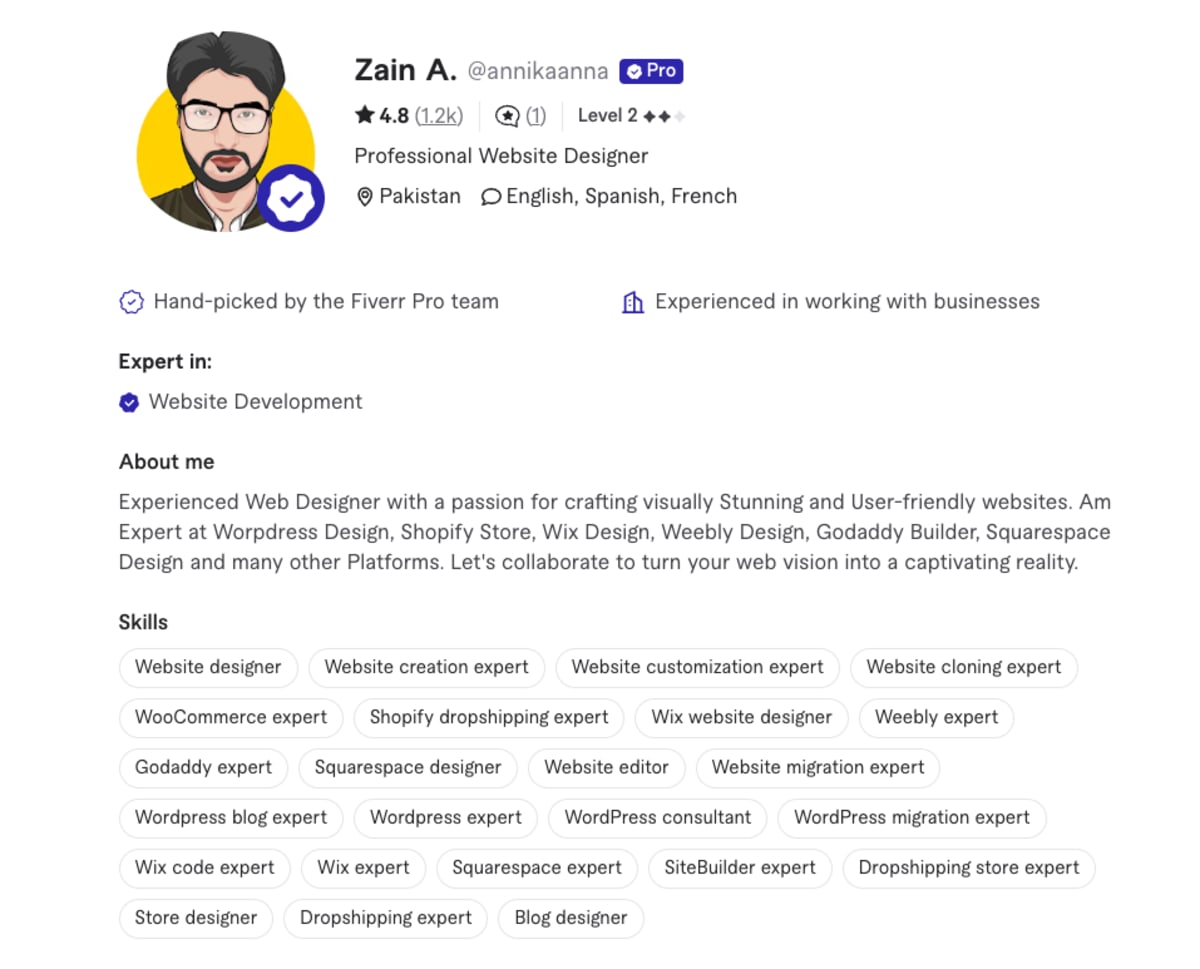 Zain Seller Fiverr profile