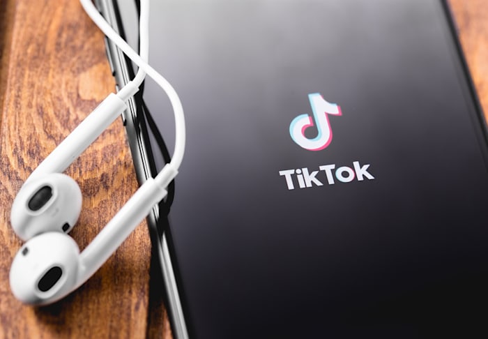 tiktok explained