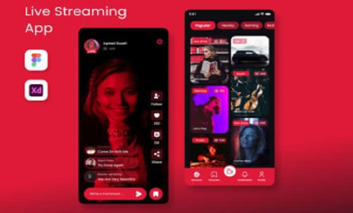 Adult Video Streaming App