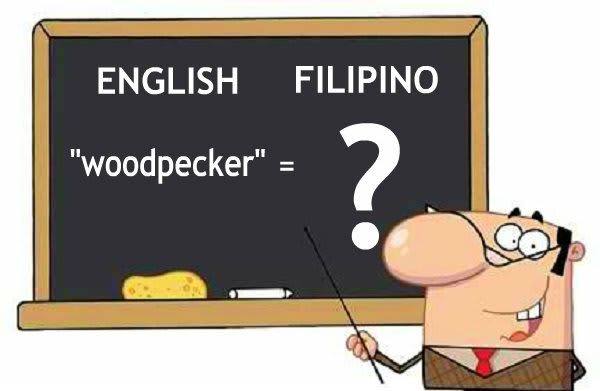 Translate English Contexts To Tagalog By Barryuybarreta